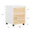 SoBuy Suport pentru imprimantă 40x40x63 cm Ask03-W (copie)