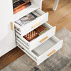 SoBuy Suport pentru imprimantă 75x35x61cm FBT143-PF (copie)