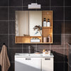SoBuy BZR177-N Armoire Murale avec Miroir, Placard de Rangement,Meuble Haut avec 2 Portes, Étagère Réglable, 80x13x70 cm