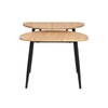 SoBuy FBT127-N Table Basse Table de Salon, Meuble de Salon Design, Structure en métal avec 2 Plateaux