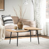 SoBuy FBT127-N Table Basse Table de Salon, Meuble de Salon Design, Structure en métal avec 2 Plateaux