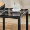 SoBuy FBT35-Sch Lot de 2 Tables Basses Gigognes Design Industriel Encastrable, Tables d’Appoint Empilable, Bouts de Canapé pour Salon
