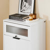 SoBuy FSB95-W Dulap de pantofi cu 2 compartimente rabatabile și 1 ușă din sticlă, Mobilier de intrare Design – 59x40x115 cm, Alb