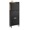 SoBuy FSR151-H-E-SCH Armoire à Chaussures Ultra-Slim 19 cm – 3 Abattants, Noir Mat avec LED