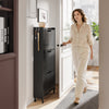 SoBuy FSR151-H-E-SCH Armoire à Chaussures Ultra-Slim 19 cm – 3 Abattants, Noir Mat avec LED