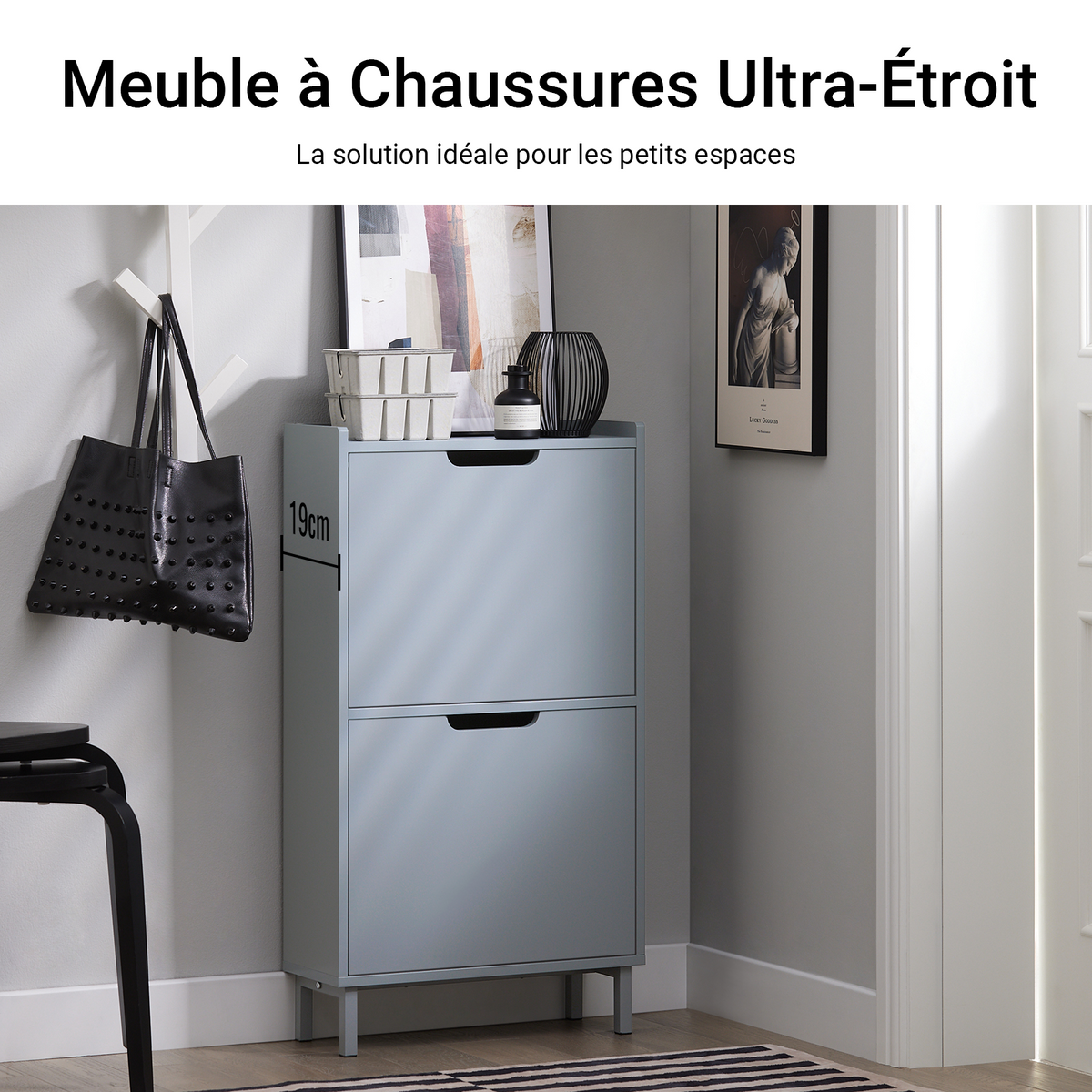 SoBuy FSR151-HG Dulap pentru pantofi cu 2 compartimente, Ultra-subțire 19cm, Depozitare compactă pentru hol – 50x19x91 cm, Gri