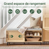 SoBuy FSR154-N Banc pentru Pantofi cu Pernă Căptușită, 2 Uși Glisante cu Fațadă din Ratan Împletit pentru Intrare – 110x40x49 cm, Natural