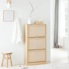 SoBuy FSR159-N Armoire à Chaussures 3 Abattants, Rangement pour Entrée Couloir – 60x24x118 cm, Naturel