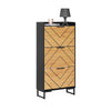 SoBuy FSR164-SCH Dulap pantofi ultra-subțire, economisește spațiu – Ideal pentru holuri înguste – 62x24x125 cm Negru