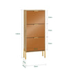 SoBuy FSR181-H-G Meuble à Chaussures Design Élégant avec Miroir – Déco Entrée Moderne – 55x24x124 cm Doré