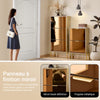 SoBuy FSR181-H-G Meuble à Chaussures Design Élégant avec Miroir – Déco Entrée Moderne – 55x24x124 cm Doré