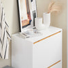SoBuy FSR193-WN Meuble à Chaussures à Abattants 2 Niveaux – Rangement Familial pour Entrée – 60x34x91 cm Blanc et Bois
