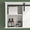 SoBuy Dulap de perete pentru baie, unitate de perete cu ușă glisantă, dulap de bucătărie, alb, 68x20x48 cm, BZR71-W