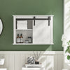 SoBuy BZR71-W Armoire Murale Salle de Bain, Placard Toilette Suspendu, Placard de Rangement, Meuble Haut Toilettes