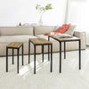 SoBuy FBT84-N Lot de 3 Tables Basses Gigognes, Tables d'appoint Empilables, Style Industriel