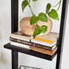 SoBuy FRG15-SCHÉtagère murale style échelle, Étagère échelle 4 niveaux