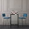 SoBuy FST90-Bx2 Set de 2 Scaune de Bar Design Scaune Înalte de Bistrou cu Spătar și Suport pentru Picioare, Scaune de Blat, Scaune de Bar