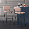 SoBuy FST90-Px2 Set de 2 scaune de bar de designer Scaun înalt de bistro cu spătar și suport pentru picioare, Scaun de tejghea, Scaun de bar