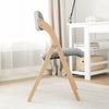 SoBuy FST92-N Scaun Pliant din Lemn Tapițat Ergonomic - Scaun de Bucătărie și de Birou Compact pentru Sufragerie sau Living, pentru Spații Mici, Gri Deschis