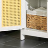 SoBuy Cabinet de bază pentru baie sau intrare, cu doi medici în dulapul de baie din ratan cu sertar 60x35x88cm BZR120-W