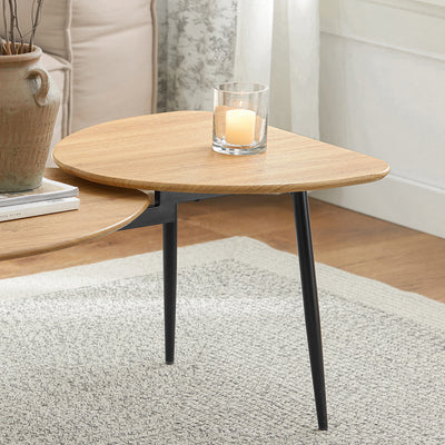 SoBuy FBT127-N Table Basse Table de Salon, Meuble de Salon Design, Structure en métal avec 2 Plateaux