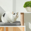 SoBuy Carcasă din lemn Tiragraffi pentru pisici din lemn raft de încălțăminte cu scaun pentru casă pentru pisici coccati pentru pisici 110x35x65cm FSR135 -Own