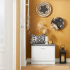 SoBuy FSR16-K-W Banc pentru Pantofi cu 1 Ușă Basculantă și Pernă Tapițată, Cufăr de Depozitare Subțire 24cm pentru Intrare – 60x24x47 cm, Alb
