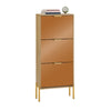 SoBuy FSR181-H-G Meuble à Chaussures Design Élégant avec Miroir – Déco Entrée Moderne – 55x24x124 cm Doré