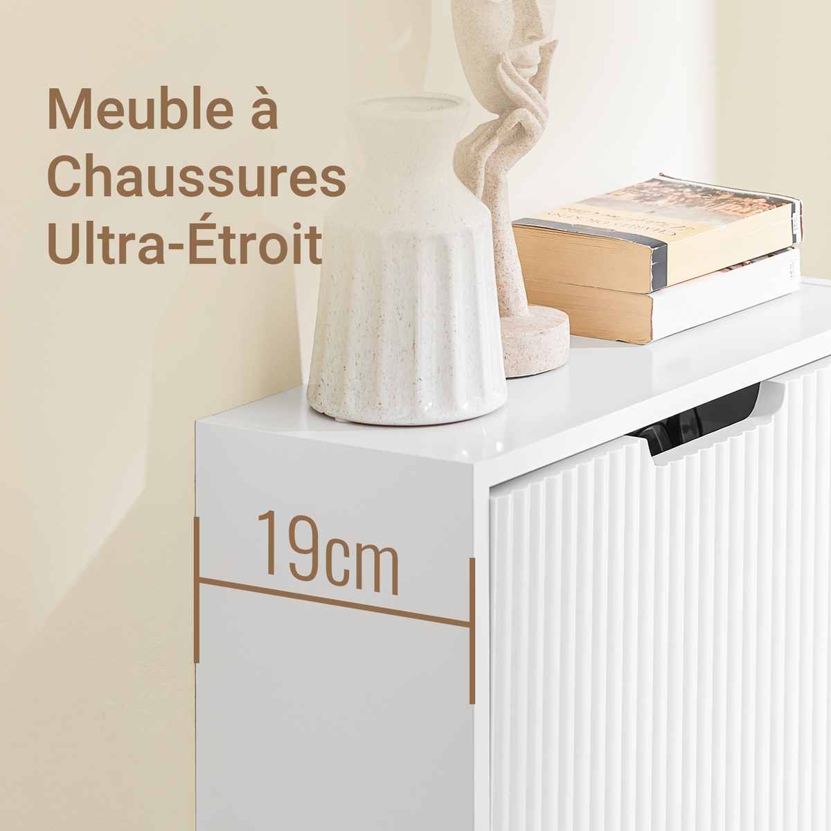 SoBuy FSR204-W Meuble à Chaussures Gain de Place Ultra-Slim 19cm – Entrée Étroite – 50x19x100 cm Blanc