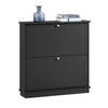 SoBuy FSR99-SCH Meuble à Chaussures Meuble Chaussures Entrée - 2 Abattants Fins Peu Encombrant + Rangement Compact pour 8-10 Paires - pour Couloir Appartement - Noir 76x18x78cm