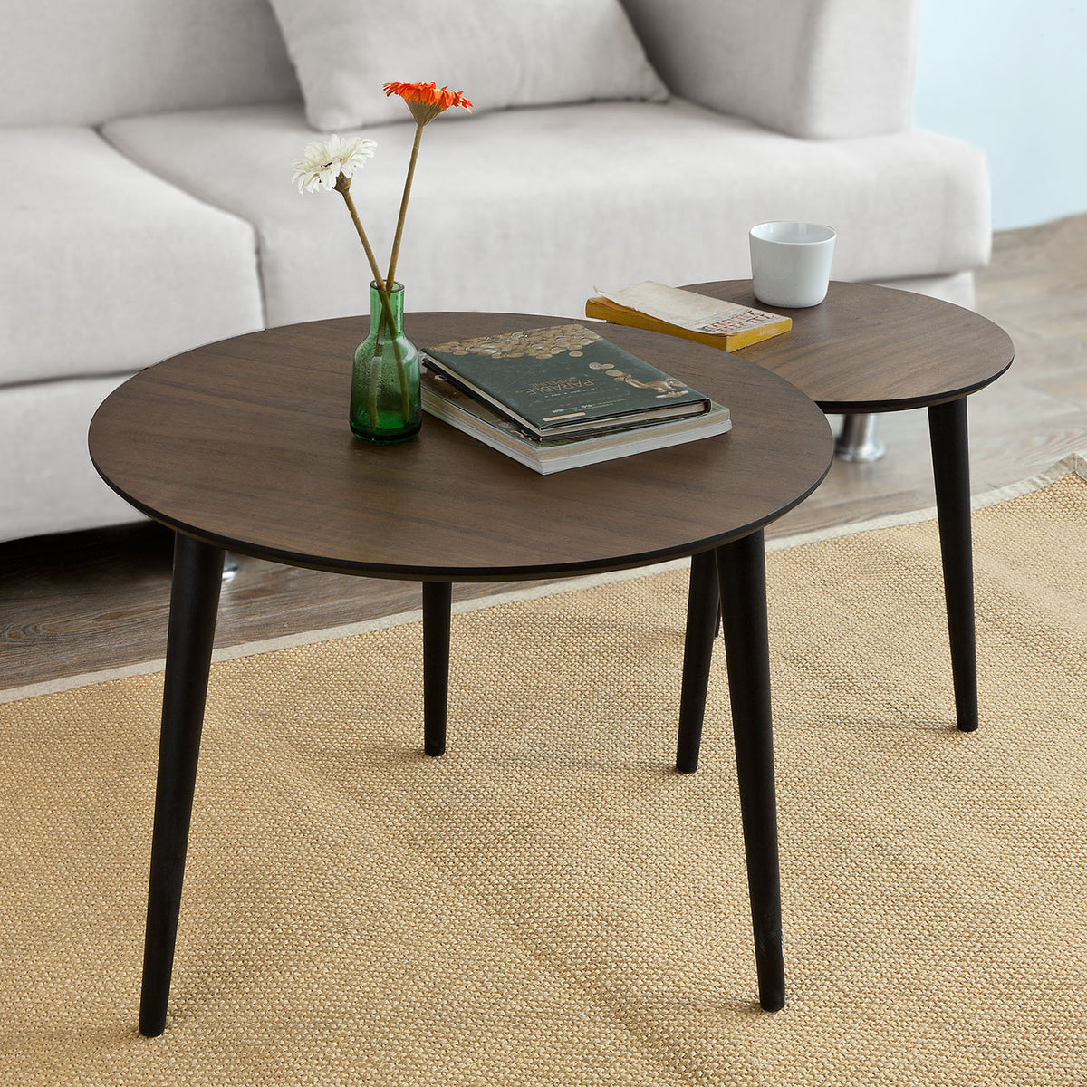 SoBuy FBT40-BR Set de 2, Tables Basses Gigognes Table Café Ronde
