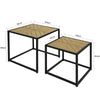 SoBuy FBT76-N Set de 2 Tables Basses Gigognes Table café Table d'Appoint Table Basse de Salon