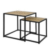 SoBuy FBT76-N Set de 2 Tables Basses Gigognes Table café Table d'Appoint Table Basse de Salon