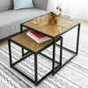 SoBuy FBT76-N Set de 2 Tables Basses Gigognes Table café Table d'Appoint Table Basse de Salon