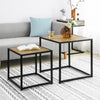 SoBuy FBT76-N Set de 2 Tables Basses Gigognes Table café Table d'Appoint Table Basse de Salon