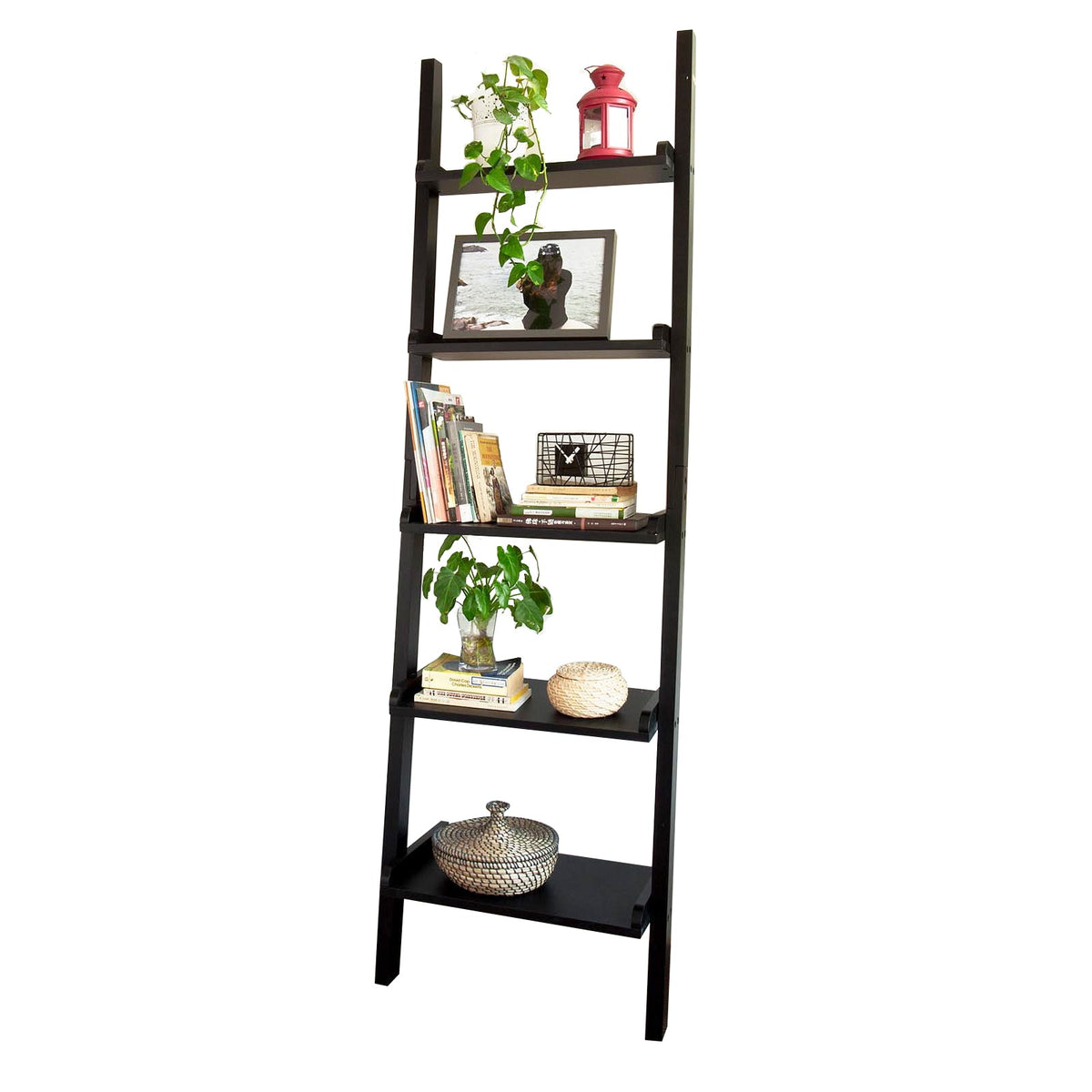 SoBuy FRG17-SCH étagère murale style échelle Bibliothèque – 5 étages