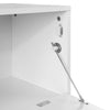SoBuy Consola de admitere a cabinetului cu 1 garderobă de economisire mare L92*P30*A80 cm, White FSB21-W