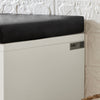 SoBuy FSR132-W Banc pentru Pantofi cu Pernă din PU, 2 Compartimente Rabatabile și 2 Compartimente Deschise, pe Picioare Aurii pentru Hol – 110x26x52 cm, Alb
