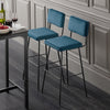 SoBuy FST90-Bx2 Set de 2 Scaune de Bar Design Scaune Înalte de Bistrou cu Spătar și Suport pentru Picioare, Scaune de Blat, Scaune de Bar
