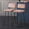 SoBuy FST90-Px2 Set de 2 scaune de bar de designer Scaun înalt de bistro cu spătar și suport pentru picioare, Scaun de tejghea, Scaun de bar